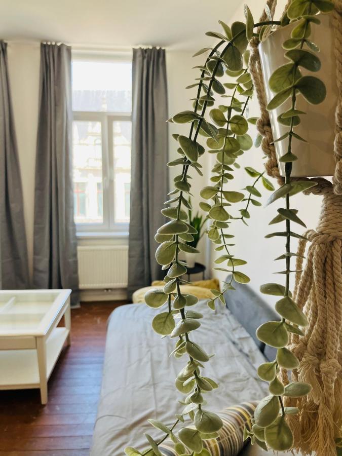 Bnb Hotel Suikernest 安特卫普 外观 照片