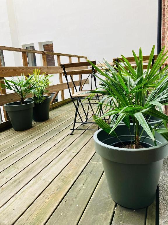 Bnb Hotel Suikernest 安特卫普 外观 照片